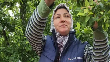 Bu yıl bereket var, bolluk yaşandı. Üreticinin yüzü güldü