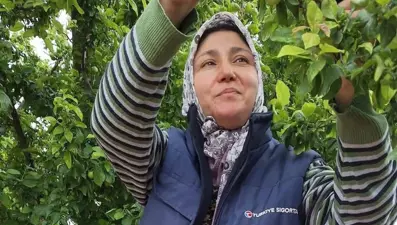 Bu yıl bereket var, bolluk yaşandı. Üreticinin yüzü güldü