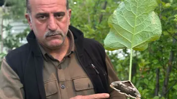 Meksika ormanlarından Erzurum köyüne. Yağmur ormanlarının gizemli canlısı Oltu'da görüntülendi