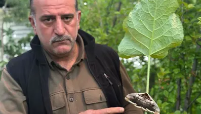 Meksika ormanlarından Erzurum köyüne. Yağmur ormanlarının gizemli canlısı Oltu'da görüntülendi
