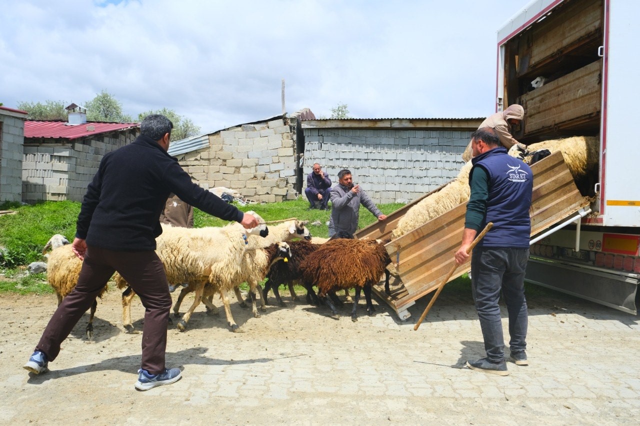 Yolculuk başladı, yaz boyunca kalacaklar. Kamyona yüklemekte zorlandılar