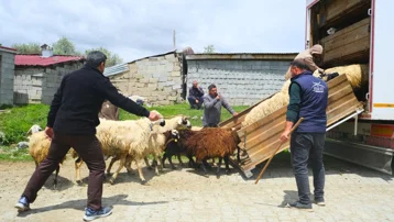 Yolculuk başladı, yaz boyunca kalacaklar. Kamyona yüklemekte zorlandılar