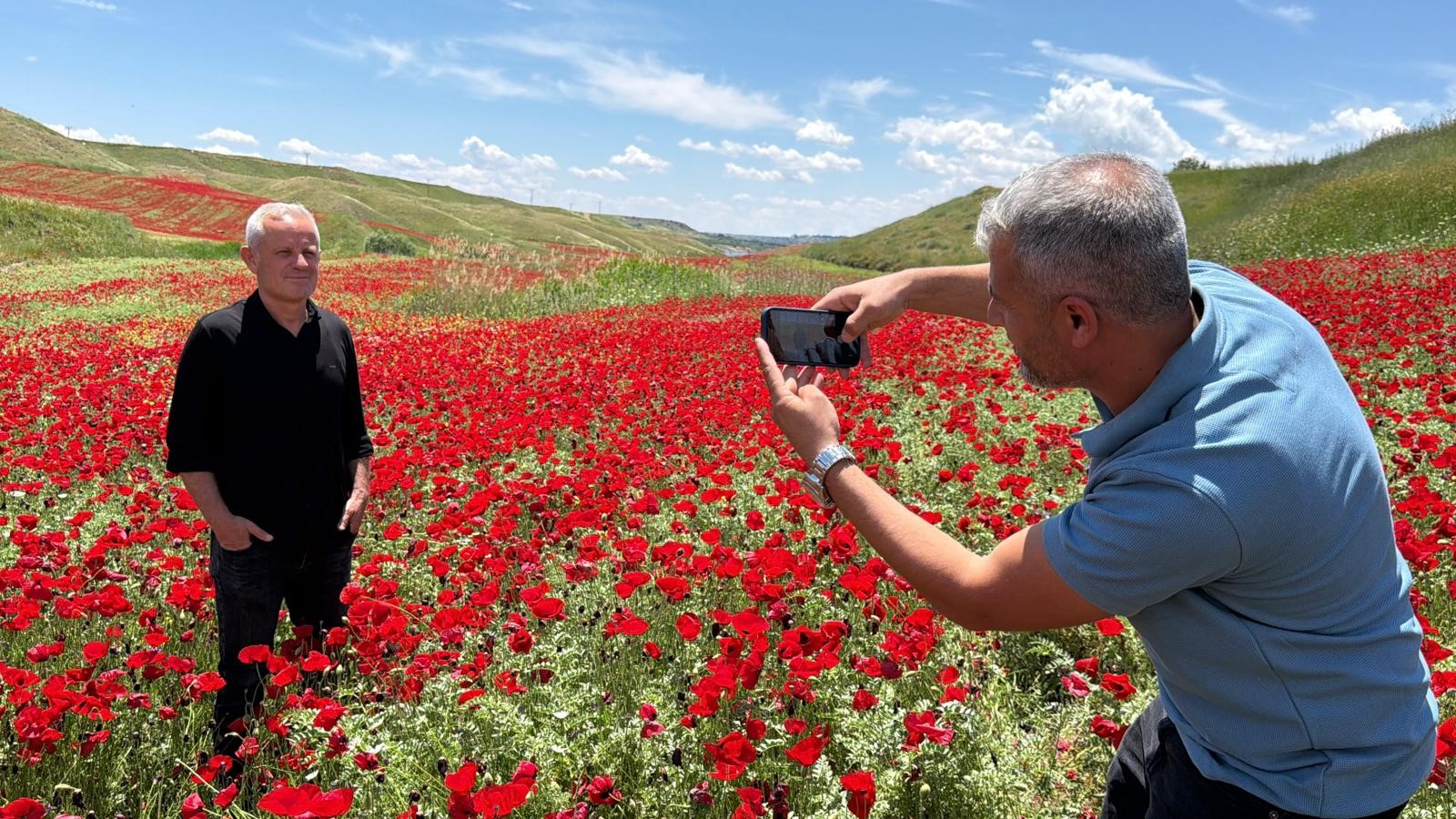 Nohut tarlası kıpkırmızı oldu. 50 dönümlük alan uğrak noktası oldu