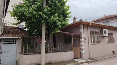 Yaşlı adamın kiraz uğruna feci ölümü