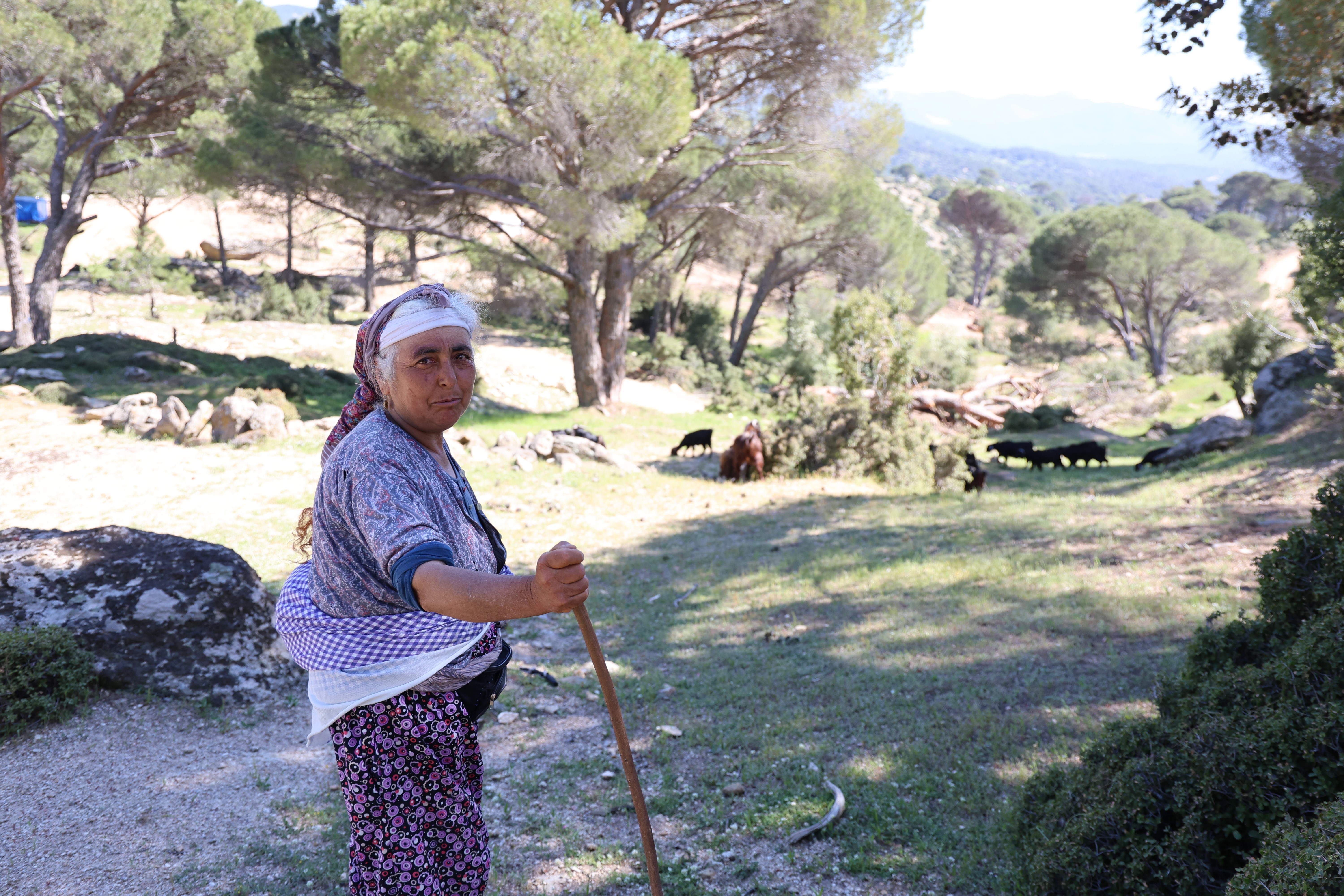 60 yaşına geldi, terk etmedi. "Dizlerimin dermanı kesiliyor"