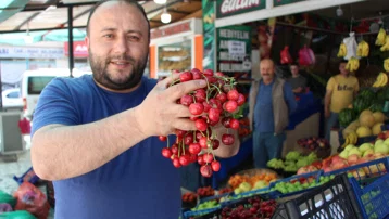 Tezgaha indi, kilosu 100 TL. Geçen yıl tek bir tane bile yoktu