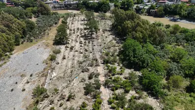 Asi Nehri önüne kattığını süpürdü, 500'e yakın ağaç kökünden söküldü