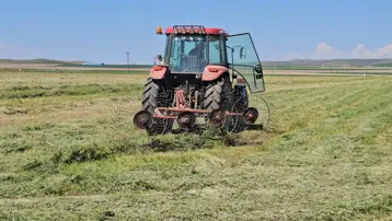 Bölgeye gelir kaynağı oluyor. Hasat tempolu başladı