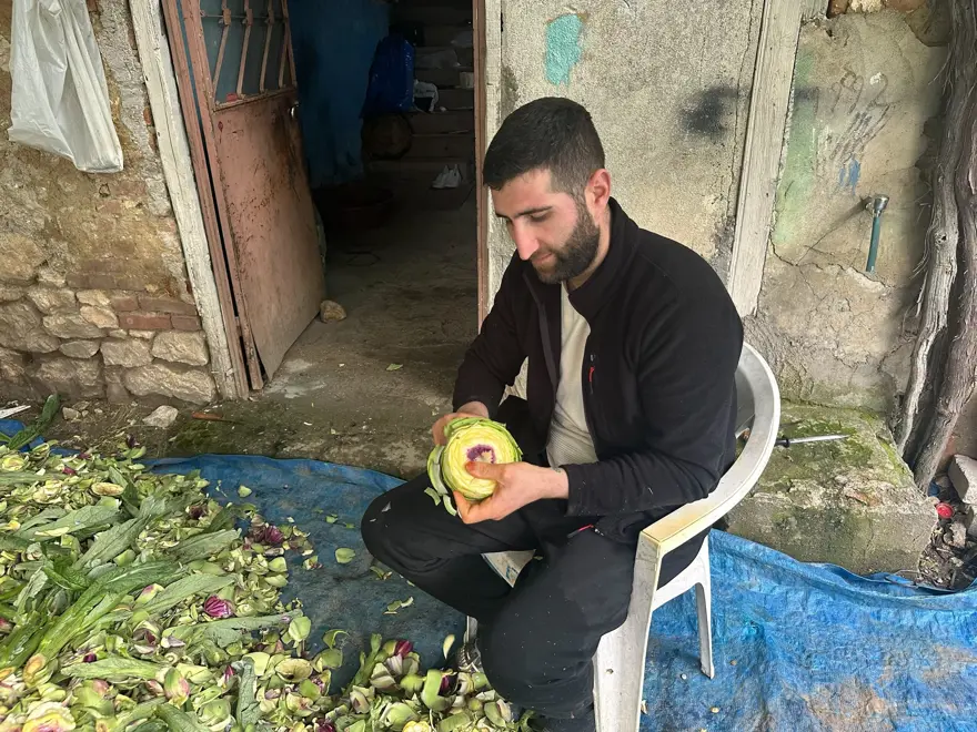 Günlük 8 bin liradan ayda 240 bin lira kazandırıyor. Hasat başladı, tanesi 8 lira Günlük 8 bin liradan ayda 240 bin lira kazandırıyor. Hasat başladı, tanesi 8 lira