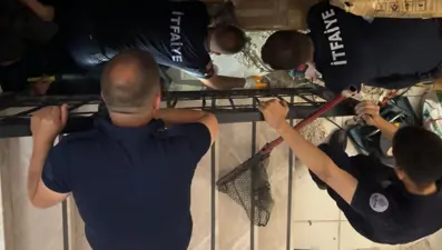 Merdiven boşluğuna sıkışan kedi merdiven ve fayans kırılarak kurtarıldı