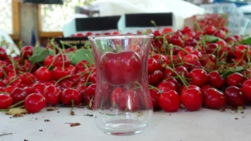 Çay bardağı boğumundan bile geçmiyor. Manavda fiyatı 2 katına çıkıyor