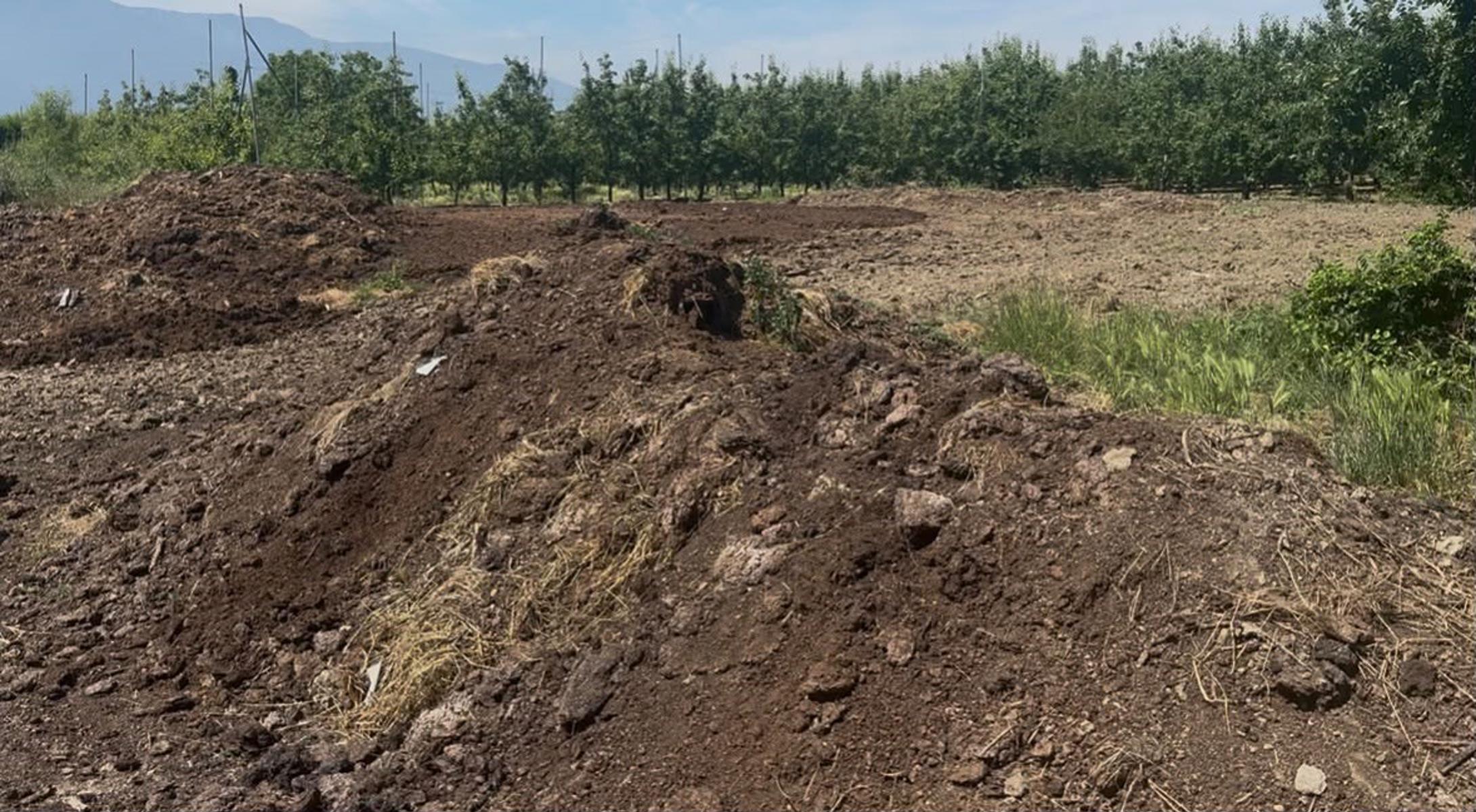 5 bin liraya işçi bulamıyorlar. 6 tonu sadece 3 bin lira, çiftçinin yeni gözdesi