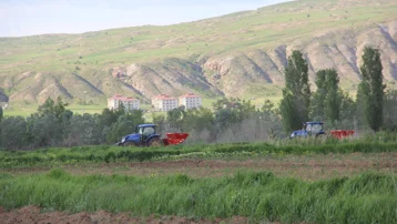 15 bin dekar alana, 3 bin 750 ton ekildi. 2026 yılı için sezon başladı