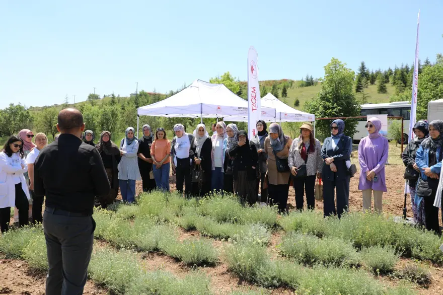 Bozkırların altını. Hasat şöleni yaşandı 1
