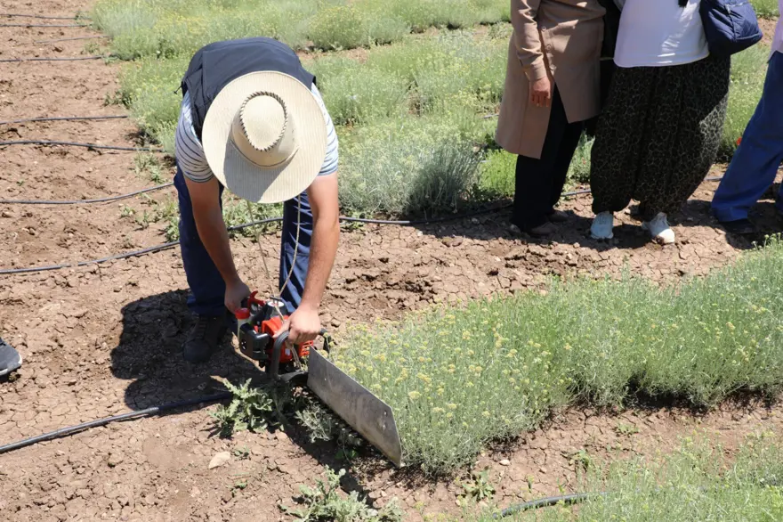Bozkırların altını. Hasat şöleni yaşandı 