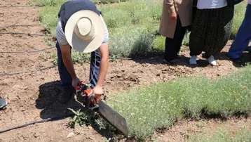Bozkırların altını. Hasat şöleni yaşandı