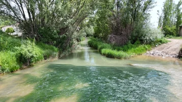 Türkülere konu olmuştu. Tecer Irmağı eski günlerine döndü