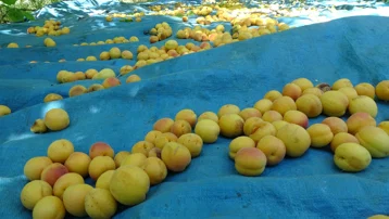 Ücretler belli oldu. Günlük yevmiye bin 750 TL olarak açıklandı