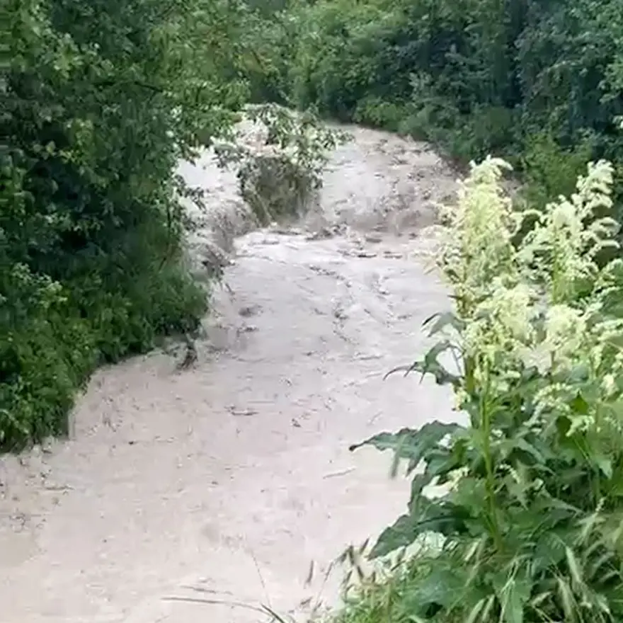 Yağış sonrası dereler taştı. Tarım arazileri su altında 1