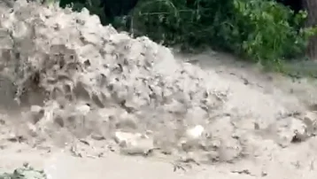 Yağış sonrası dereler taştı. Tarım arazileri su altında