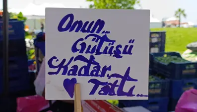 Hasat başladığında kilosu 250 liraydı. 100 TL'ye kadar düştü