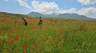 Bitlis'te eşsiz manzara