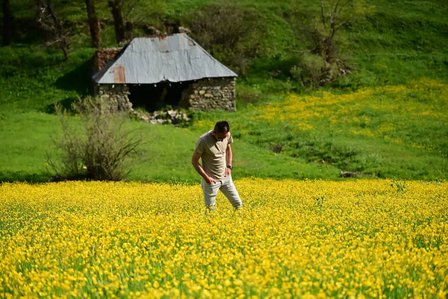 Yılda sadece 20 gün sürüyor. 2 bin 80 metre yükseklikte bulunuyor, gören dönüp bir daha bakıyor 3