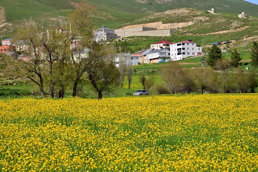 Yılda sadece 20 gün sürüyor. 2 bin 80 metre yükseklikte bulunuyor, gören dönüp bir daha bakıyor 1