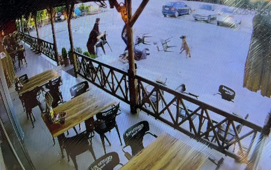 Dinlenme tesisinde can pazarı. Tekmelere aldırmayan köpek kadının kolunu kopardı 