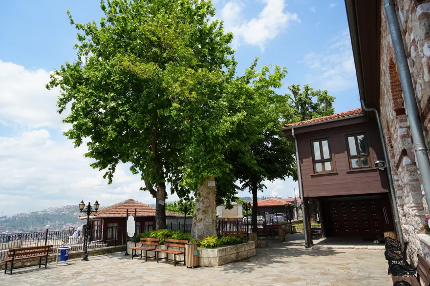 6 asırlık çınar. Yıldırımlara rağmen ayakta 1 6 asırlık çınar. Yıldırımlara rağmen ayakta 1