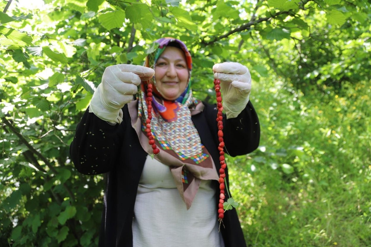 Sırrı dağlarda saklı, resmen tescillendi. Dağlarda gizli olan coğrafi işaretli lezzet