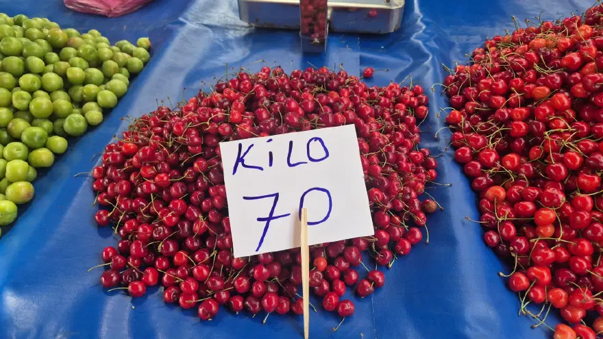 Bu sene bolluk var. Geçen yıl kilosu 500 liraydı, pazarda 70 liraya düştü 3