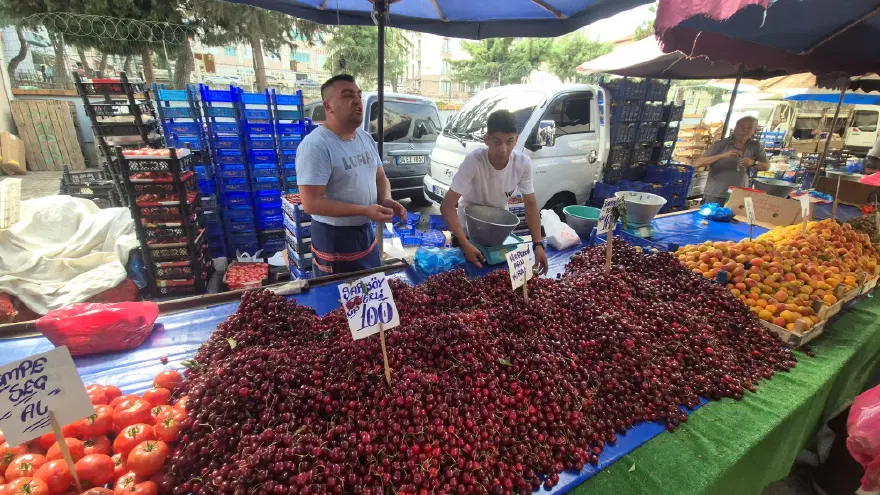 Bu sene bolluk var. Geçen yıl kilosu 500 liraydı, pazarda 70 liraya düştü 