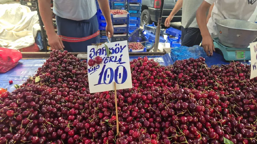 Bu sene bolluk var. Geçen yıl kilosu 500 liraydı, pazarda 70 liraya düştü 5