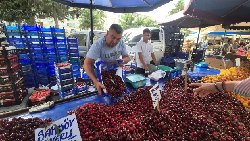 Bu sene bolluk var. Geçen yıl kilosu 500 liraydı, pazarda 70 liraya düştü 4