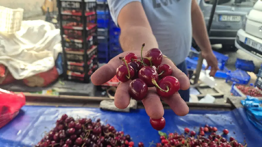 Bu sene bolluk var. Geçen yıl kilosu 500 liraydı, pazarda 70 liraya düştü 1