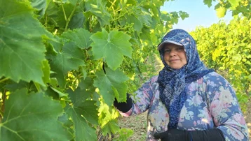Günlük net 1300 TL kazanıyorlar, dayıbaşı payı ortaya çıktı. Maliyetleri düşürmek için sıraya girdiler