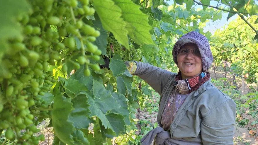 Günlük net 1300 TL kazanıyorlar, dayıbaşı payı ortaya çıktı. Maliyetleri düşürmek için sıraya girdiler 1