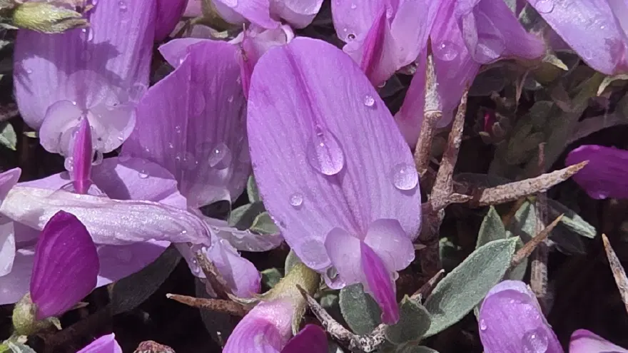 2 bin 800 yıl önce yapıldı, fotoğrafçılar akın ediyor. 2 bin 550 metre yükseklikteki kadim miras 1