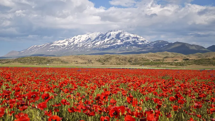 Süphan Dağı eteklerinde renk cümbüşü. Gören bir daha bakıyor 1
