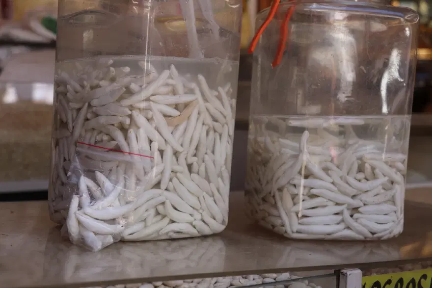 Doğada kendiliğinden yetişiyor, kilosu 12 bin TL'ye satılıyor 