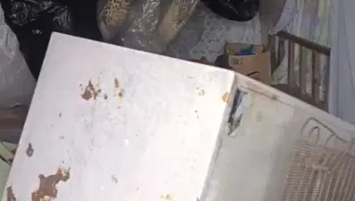 Bir günde 20 eve girdi, yayla sakinlerini canından bezdirdi
