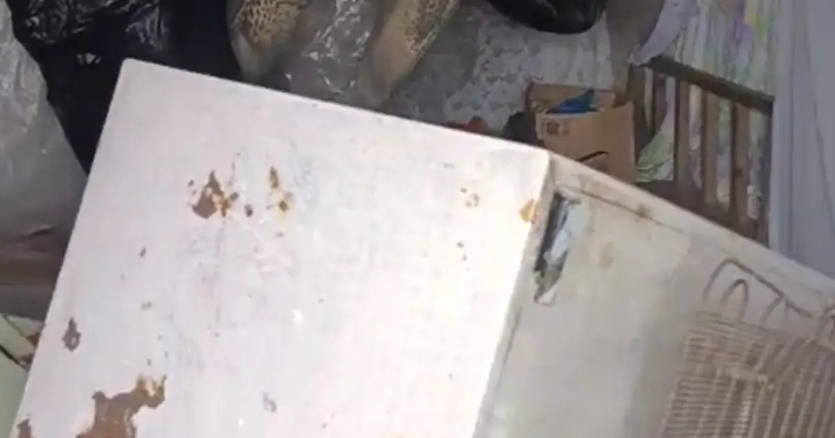 Bir günde 20 eve girdi, yayla sakinlerini canından bezdirdi