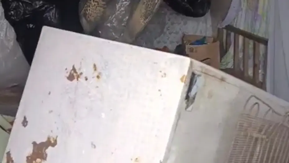 Bir günde 20 eve girdi, yayla sakinlerini canından bezdirdi