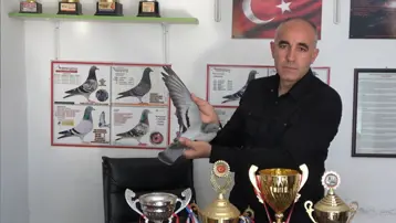 1000 kilometreyi 1 günde uçtu, saatte 90 km hıza ulaştı. O güvercin sadakat rekoru kırdı