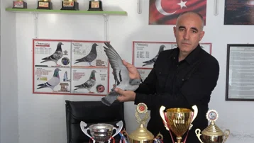 1000 kilometreyi 1 günde uçtu, saatte 90 km hıza ulaştı. O güvercin sadakat rekoru kırdı