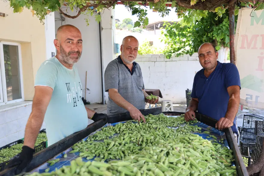 DESTEK İSTİYORLAR 2