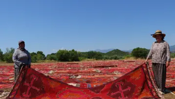 5 bin tanesi tarlaya serildi, turistler gözyaşlarını tutamadı
