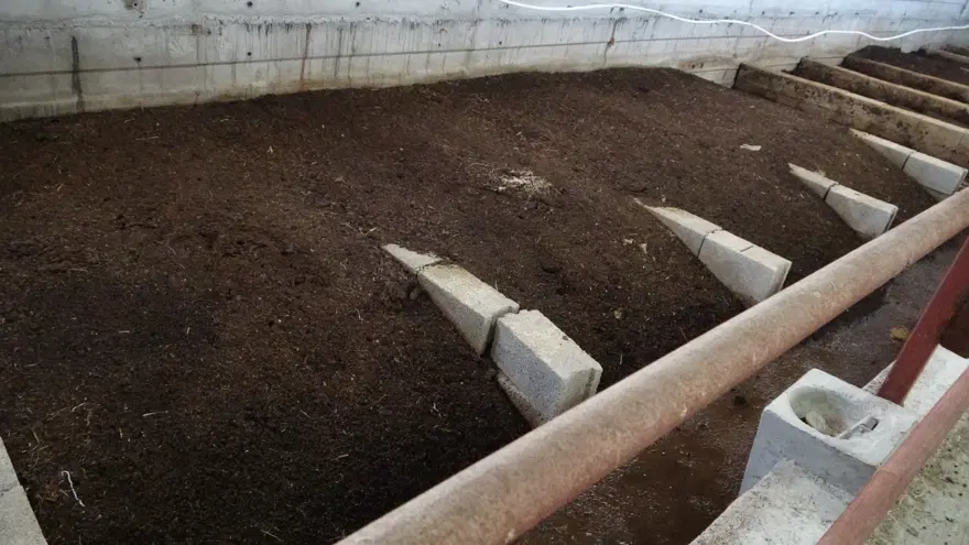 Bahçede üretmeye başladı, gelir kaynağı oldu 1 Bahçede üretmeye başladı, gelir kaynağı oldu 1
