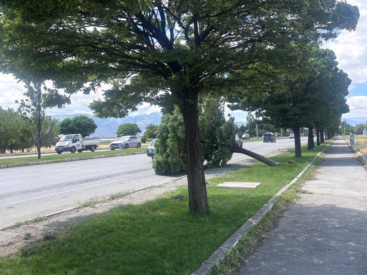 Şiddetli rüzgar ağaçları devirdi, çatılar uçtu